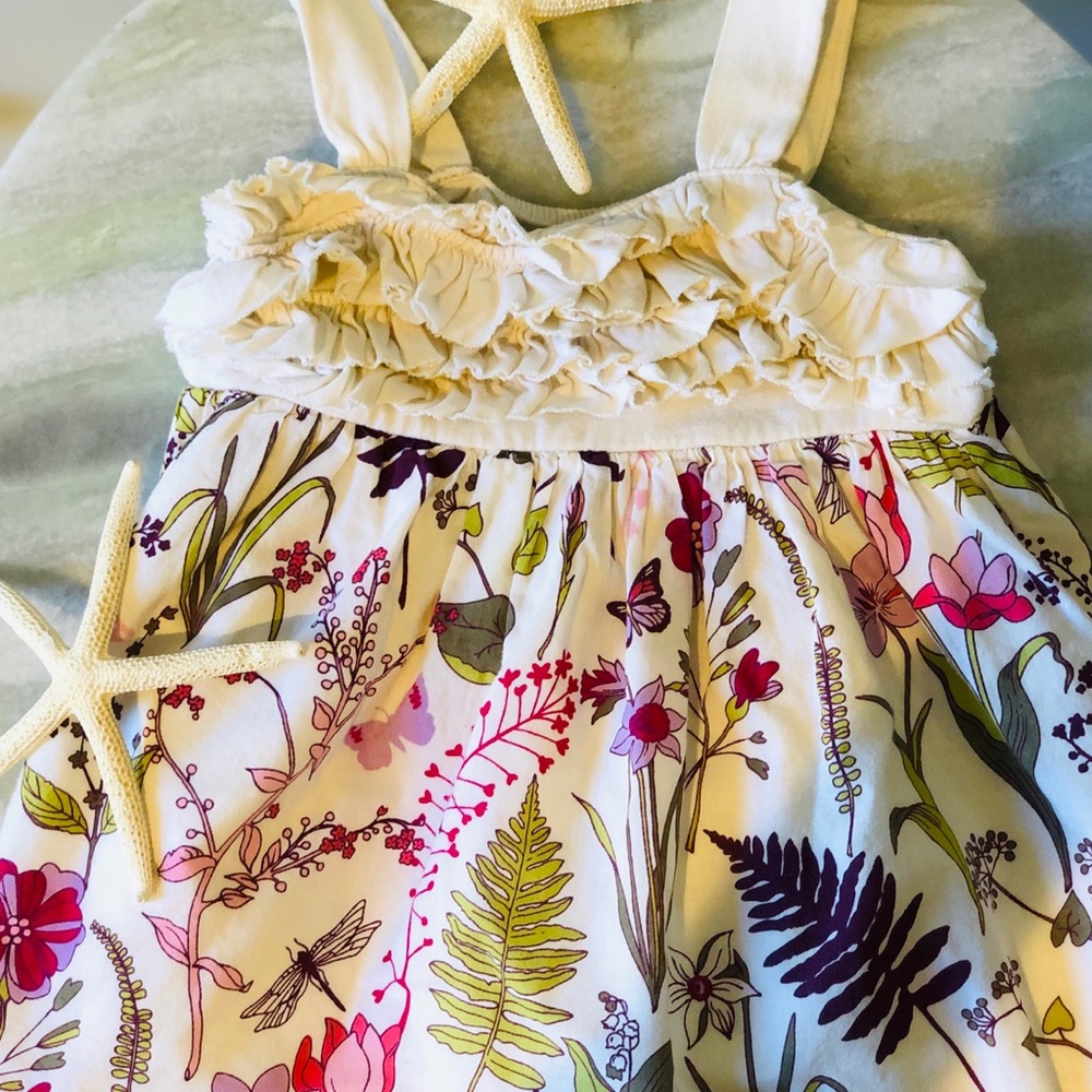 Baby Gap 6-12 Dress Spring Botanical Floral Ruffle